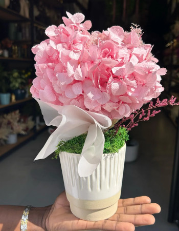 Le coeur Hortensia seche