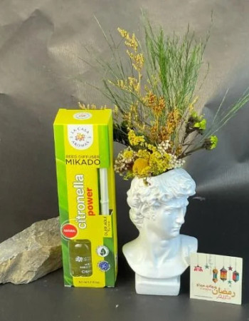 Fraîcheur et Sérénité Ramadan