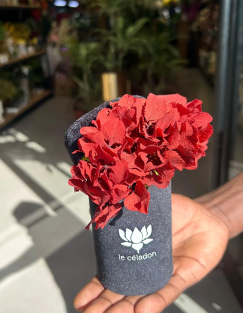 Le céladon chapeau Rouge