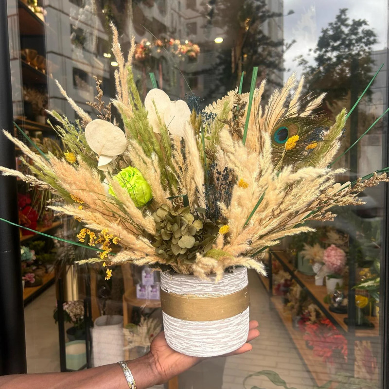 Lumière Verte