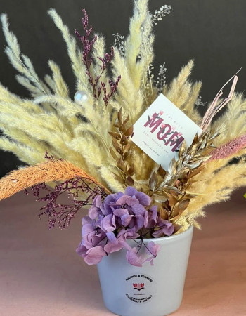 Comp Séché Mom’s Sweet Grace