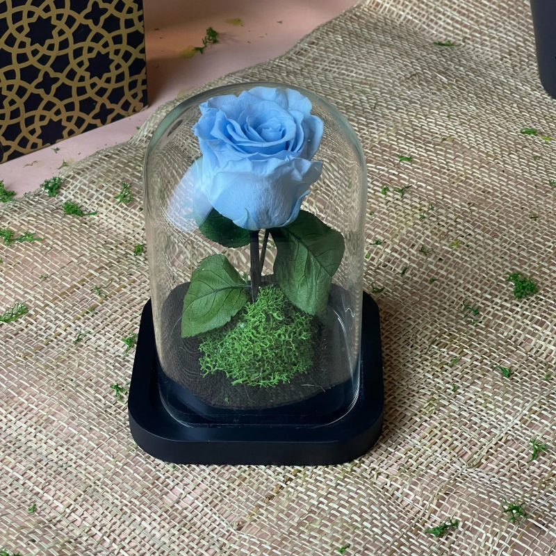 Rose éternelle Rose éternelle
