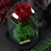 Rose éternelle