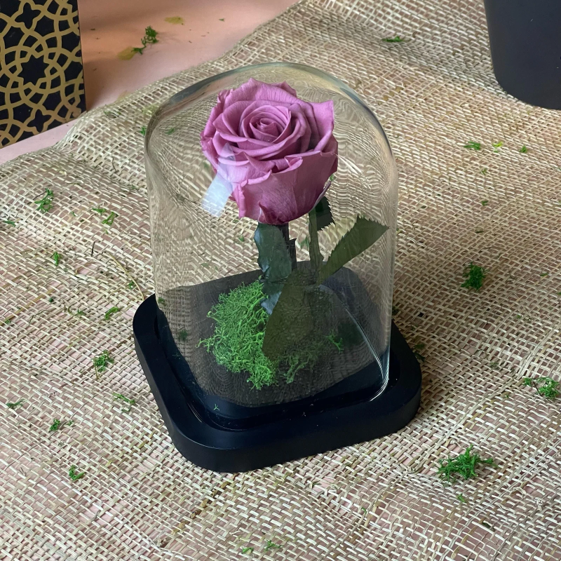 Rose éternelle Rose éternelle