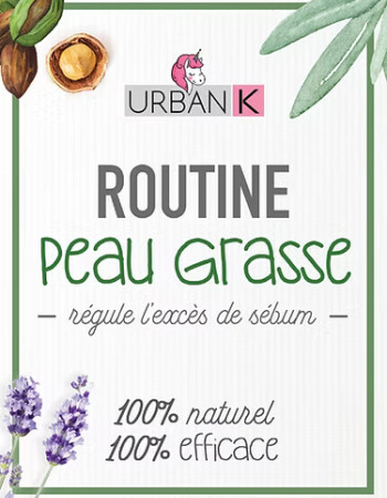 Routine PEAU GRASSE pour réguler efficacement l'excès de Sébum