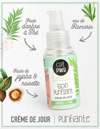 Routine PEAU GRASSE pour réguler efficacement l'excès de Sébum