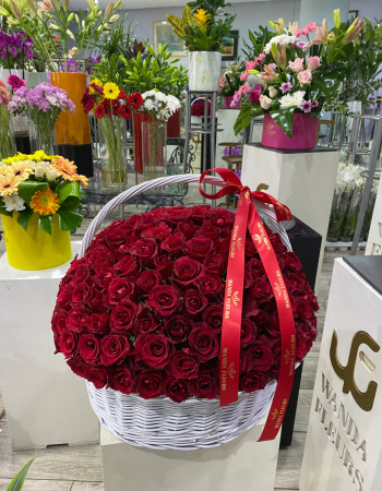 Little Red Riding Hood